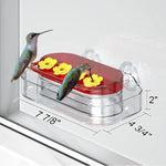 Window Hummingbird Feeder Clear Viewing Suction Mount Ant Moat