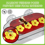 Window Hummingbird Feeder Clear Viewing Suction Mount Ant Moat