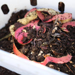 Worm Composter Bin In-Ground Ventilated Garden Bed