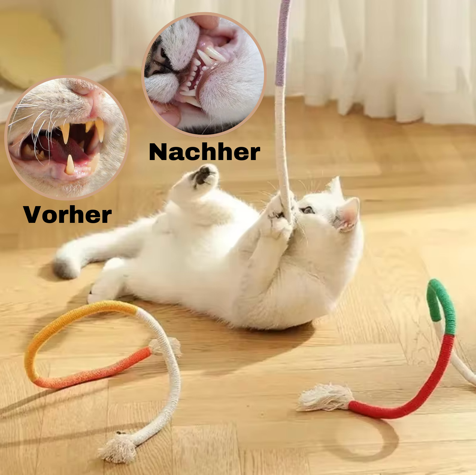 Dental Care Toys for Cats