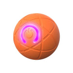 Glowing Motion Pet Toy