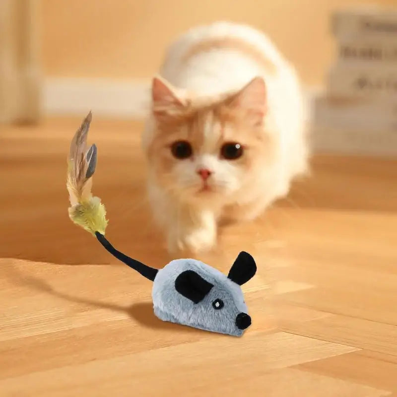 WhisMous | Verspielte Maus mit Fernbedienung