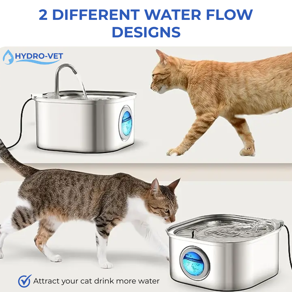 AquaSoft Pet Drinking Fountain - 3.2L, Stainless Steel, LED & 5-Stage Filtration