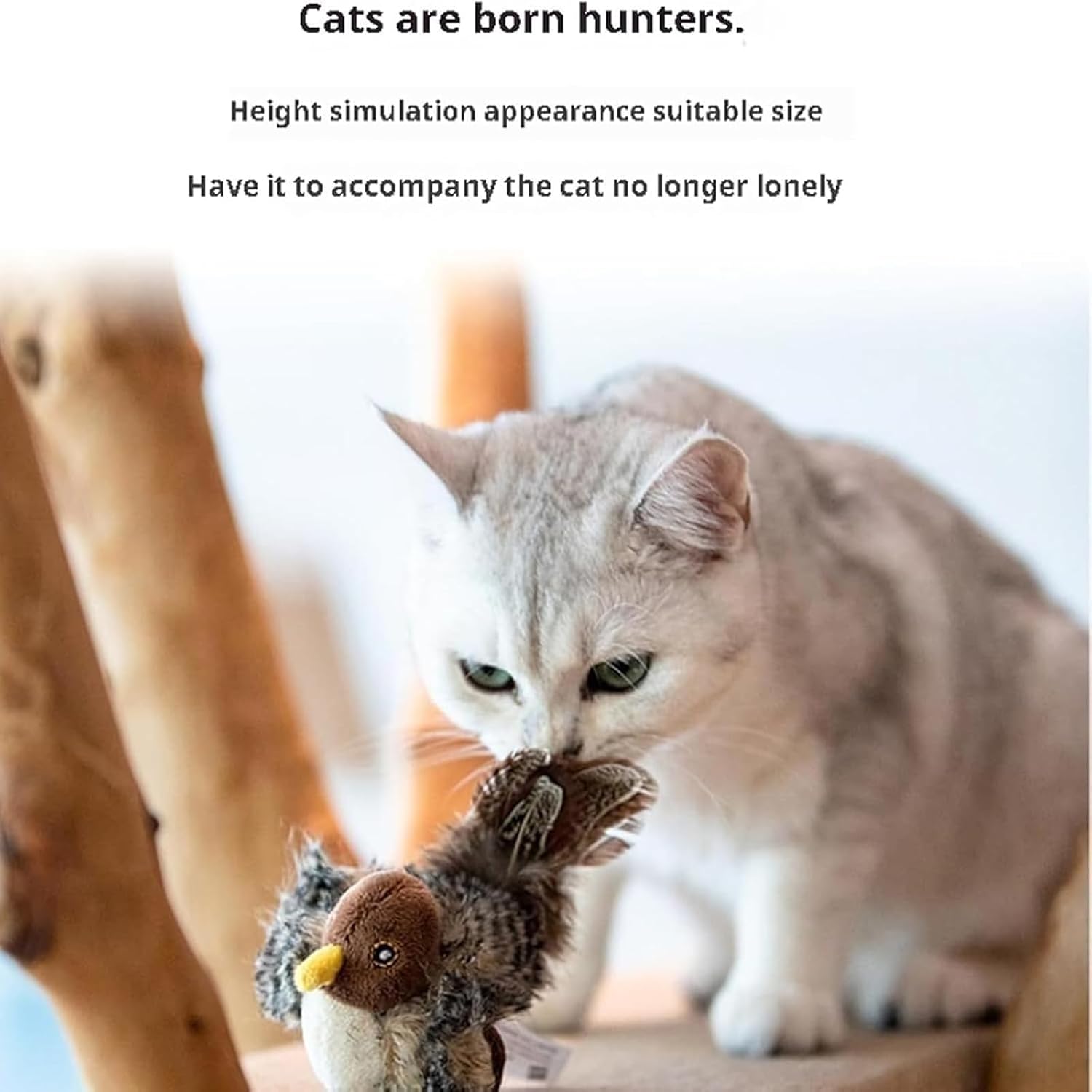FelineKraft™ — Entfesseln Sie den Jagdinstinkt Ihrer Katze