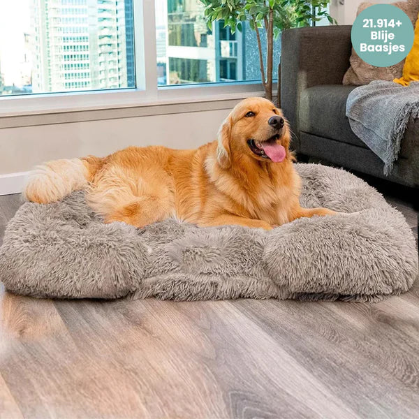 WoofHaven | Calming Dog Bed (Memory Foam)