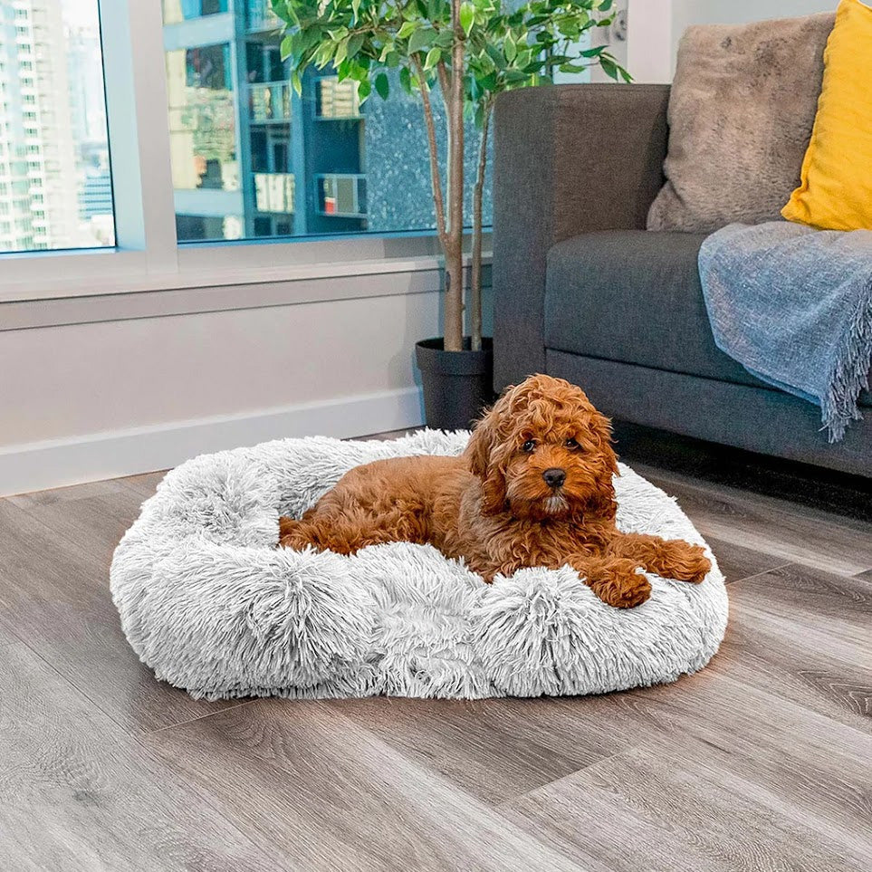 WoofHaven | Calming Dog Bed (Memory Foam)