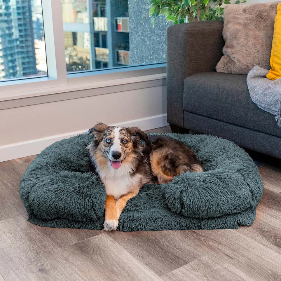 WoofHaven | Calming Dog Bed (Memory Foam)
