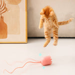 ZephPaws | Aktiver Spielspaß für glückliche Katzen