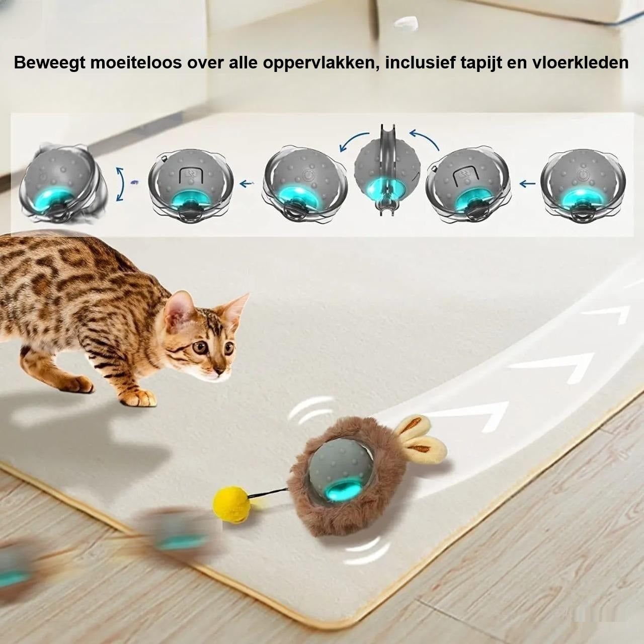 ZippyPaws | Jetzt in 3 Farbvarianten erhältlich