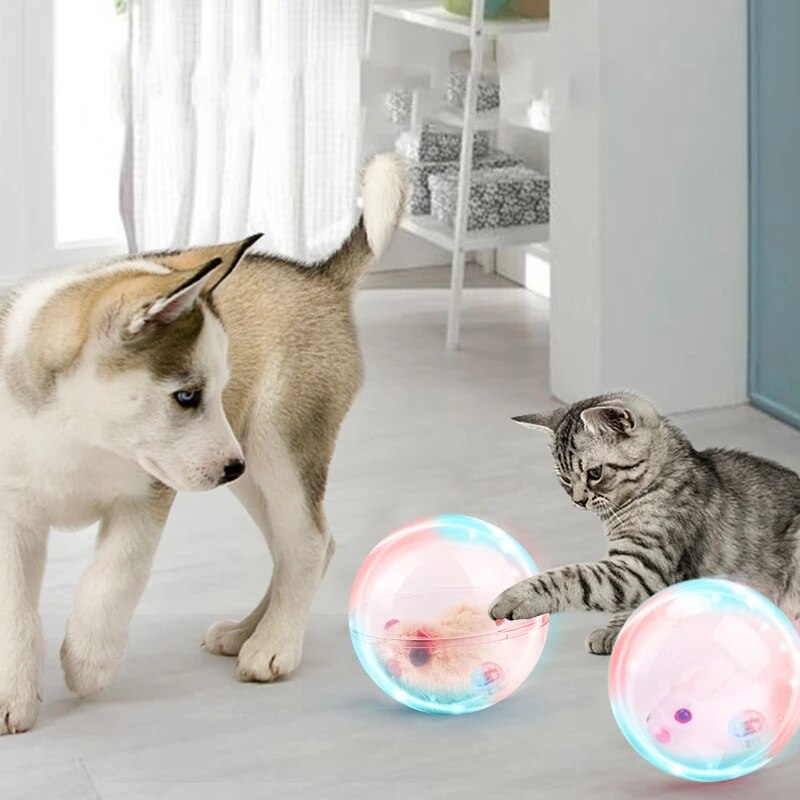 ZoomZing | Interaktiver Spielball für Haustiere