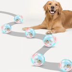 ZoomZing | Interaktiver Spielball für Haustiere