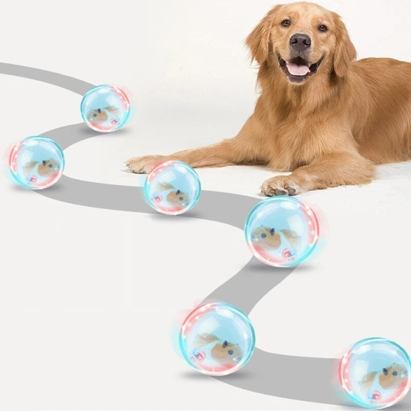 ZoomZing | Interaktiver Spielball für Haustiere