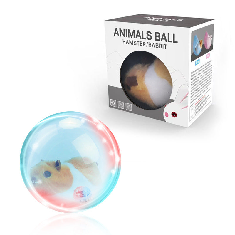 ZoomZing | Interaktiver Spielball für Haustiere