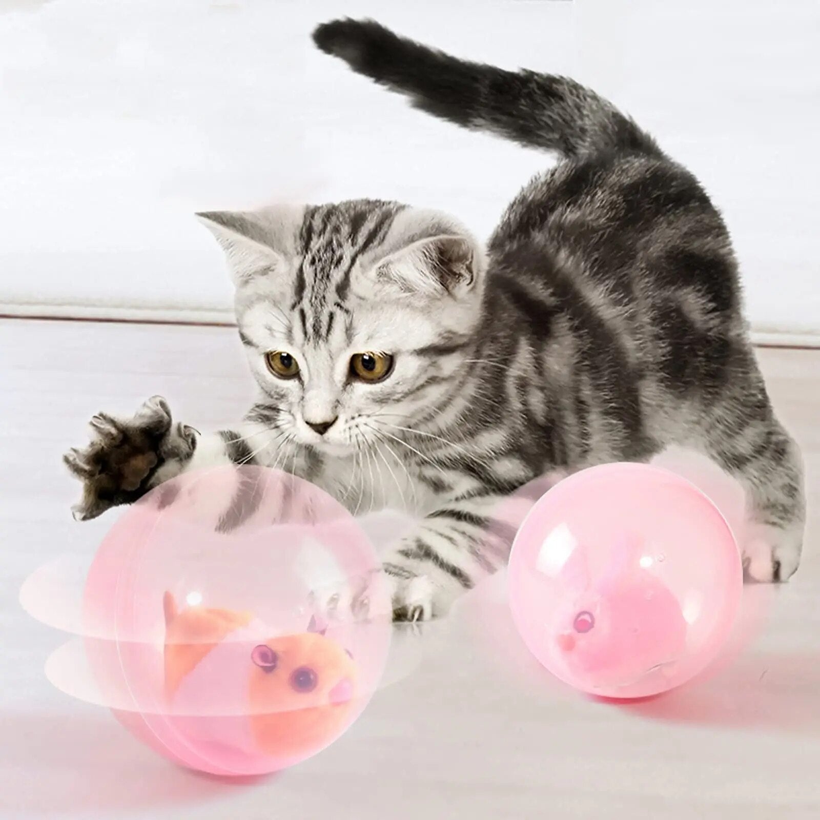 ZoomZing | Interaktiver Spielball für Haustiere