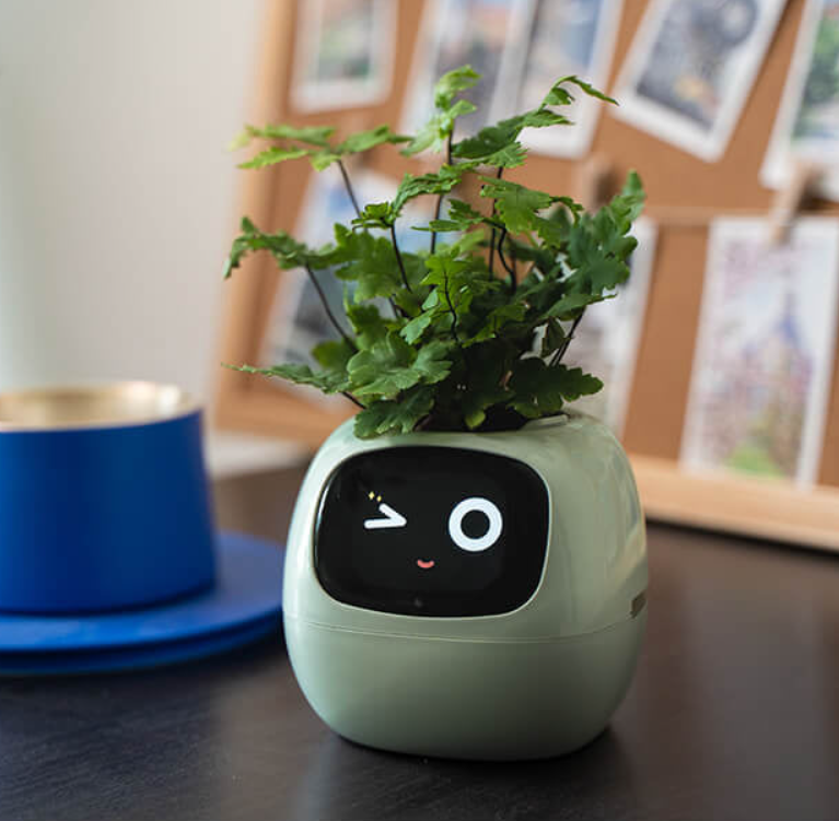 EmojiTopf | Verspielter Blumentopf für jeden Raum