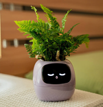 EmojiTopf | Verspielter Blumentopf für jeden Raum