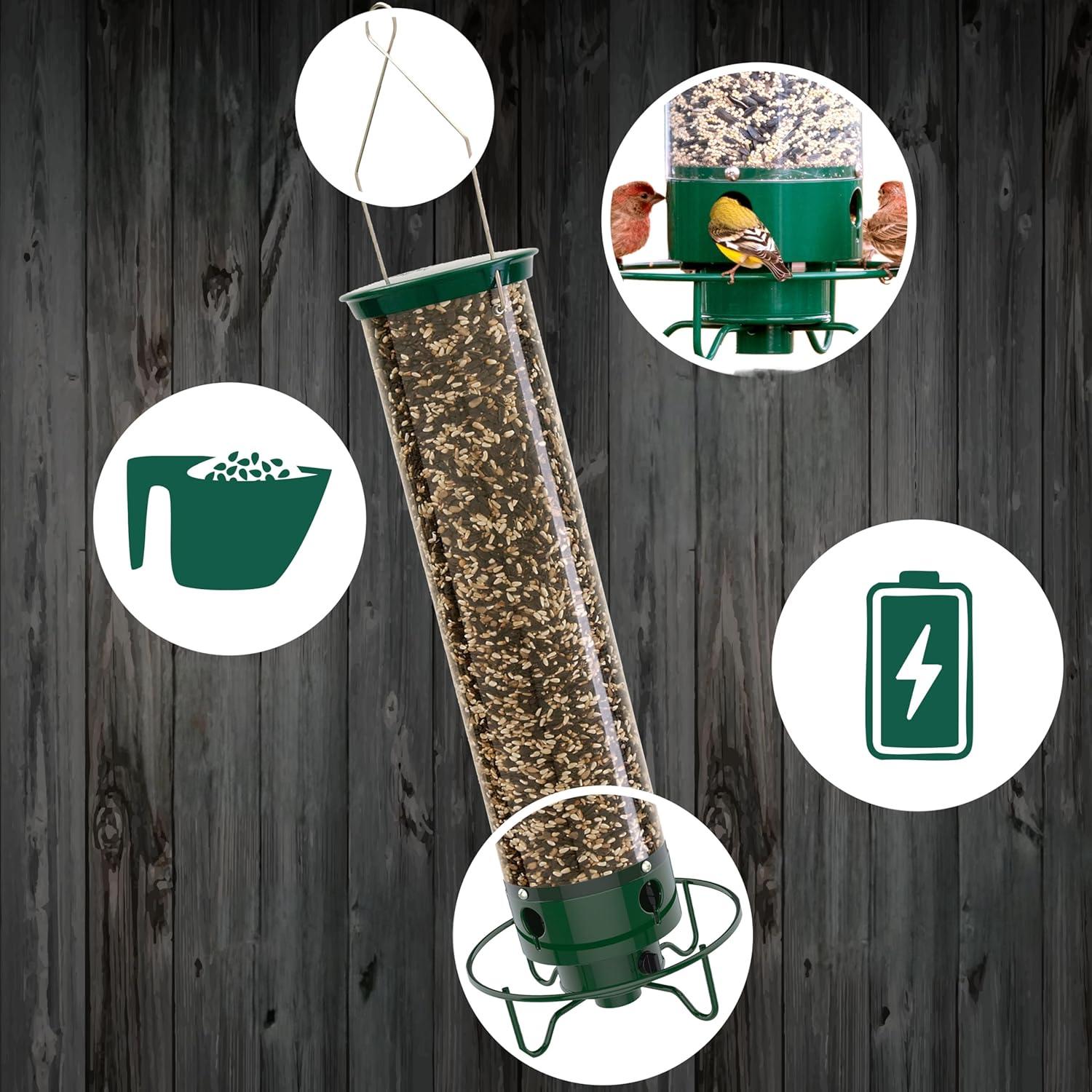 Secure Bird Feeder – Perfect for Your Garden