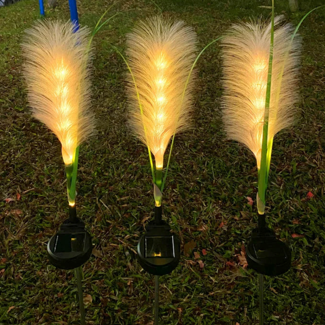 Elegant Solar Fiber Optic Lights for Your Garden