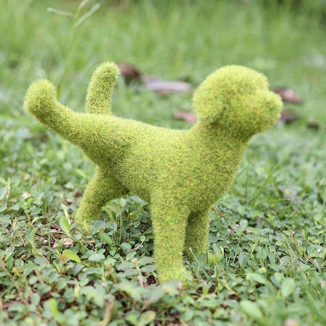 Lebendige Gartenverzierung – Verwandeln Sie Ihren Außenbereich!