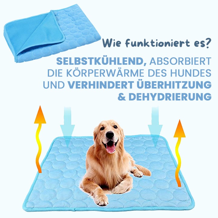 CoolPaws - Halten Sie Ihren Hund den ganzen Tag frisch und entspannt
