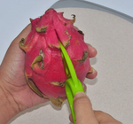 3-in-1 Avocado Slicer and Pitter