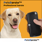 Haarschutz Pro - Für ein sauberes Zuhause ohne Hundehaare