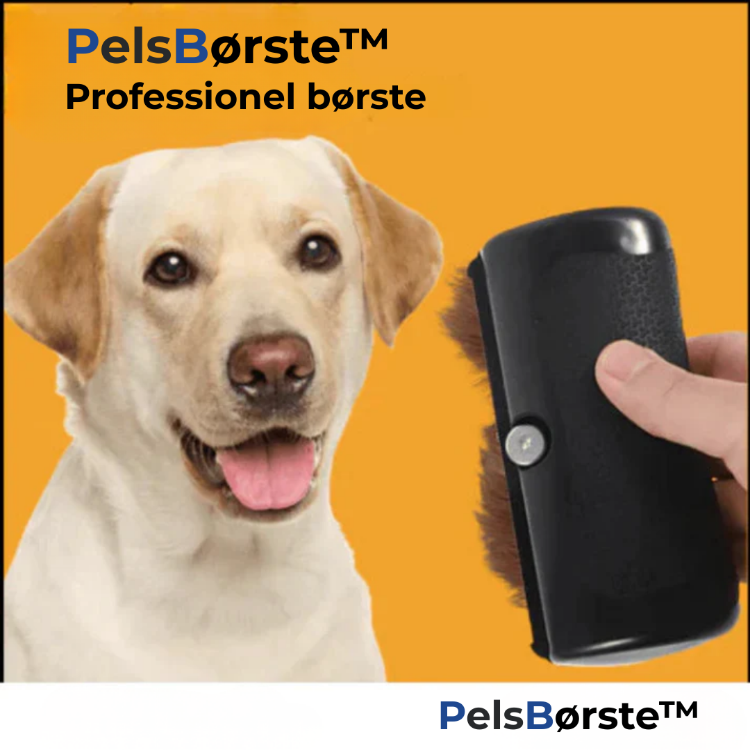 Haarschutz Pro - Für ein sauberes Zuhause ohne Hundehaare