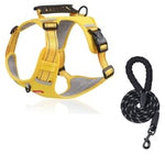 Safe and comfortable dog harness for relaxed walks