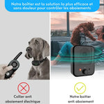 Intelligenter Hundebellen-Regulator – Beruhigen Sie Ihren Vierbeiner