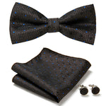 Elegantes Set mit stilvollen Fliegen und Accessoires