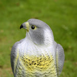 Naturgetreue Adlerattrappe zur Vogelabwehr für den Garten