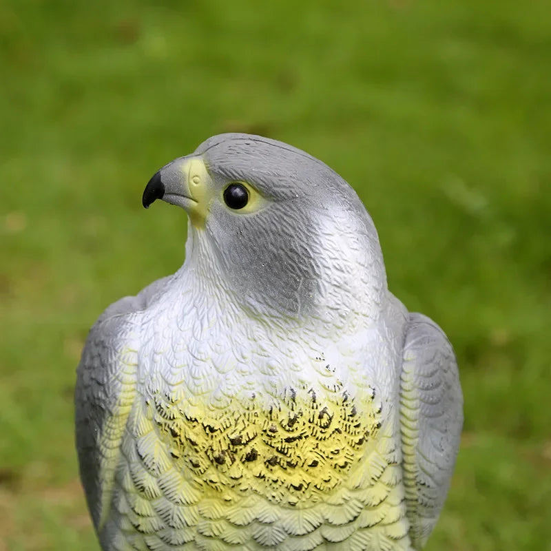 Naturgetreue Adlerattrappe zur Vogelabwehr für den Garten