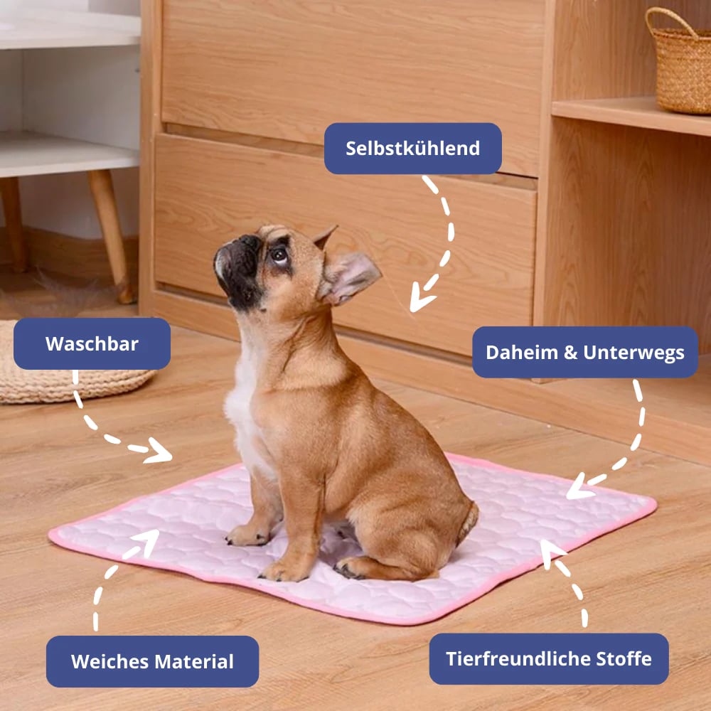 CoolPaws - Halten Sie Ihren Hund den ganzen Tag frisch und entspannt
