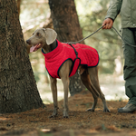 Hunde-Wintermantel – Für warme und sichere Spaziergänge