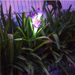 Fascinierende Solar-LED-Gartenlichter in Blumenform – Farbwechselnde Dekoration für Außenbereiche
