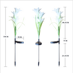 Fascinierende Solar-LED-Gartenlichter in Blumenform – Farbwechselnde Dekoration für Außenbereiche