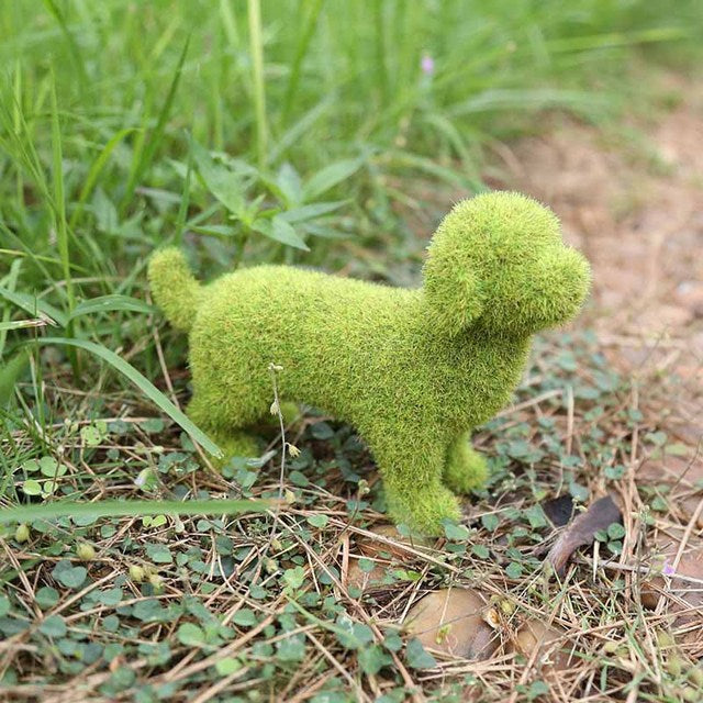 Lebendige Gartenverzierung – Verwandeln Sie Ihren Außenbereich!