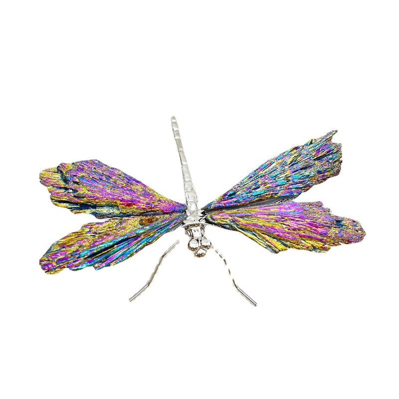 Dragonfly in Tourmaline and Kyanite