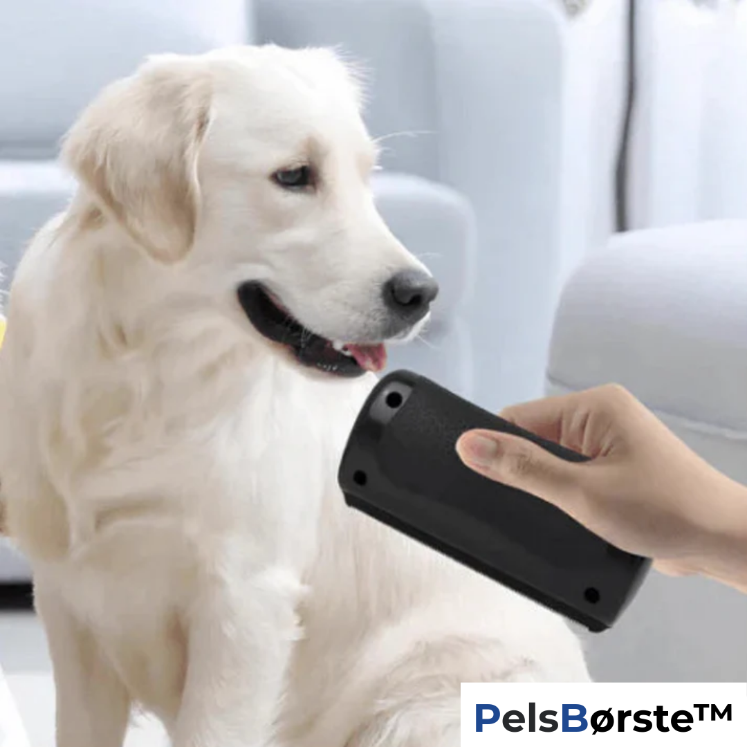 Haarschutz Pro - Für ein sauberes Zuhause ohne Hundehaare