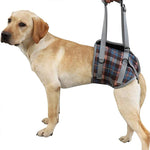 Support harnesses for dogs with hind leg weakness