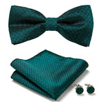 Elegantes Set mit stilvollen Fliegen und Accessoires