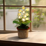 Floral Magic - Everlasting Light and Comfort for Your Nights