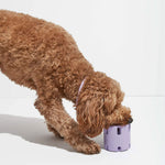 Frohsinn - Activity, Dental Care, and Joy for Your Dog