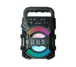 Wireless Speaker with Bluetooth, FM, USB, and Light Show