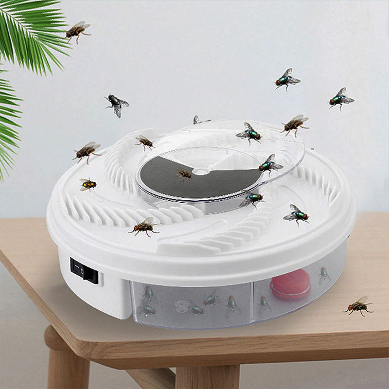 InsektenSchreck – Ihre ideale Lösung gegen Fliegen