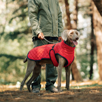 Hunde-Wintermantel – Für warme und sichere Spaziergänge