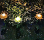 Sonnenblüten – Verleihen Sie Ihrem Garten mit Solarlichtern Leben