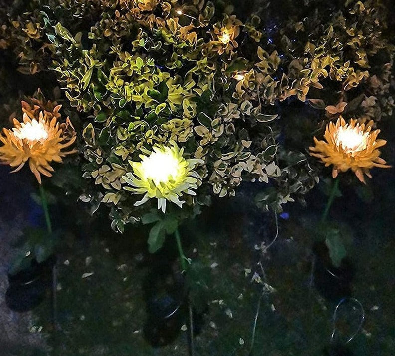 Sonnenblüten – Verleihen Sie Ihrem Garten mit Solarlichtern Leben