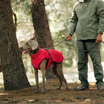 Hunde-Wintermantel – Für warme und sichere Spaziergänge