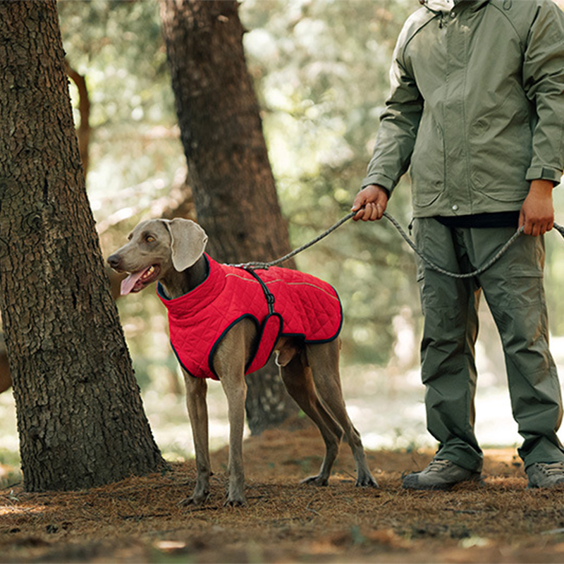 Hunde-Wintermantel – Für warme und sichere Spaziergänge